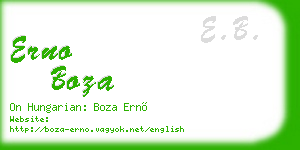 erno boza business card